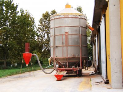 Large_190_1